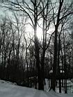 2005-01-23_snow-storm 080.JPG